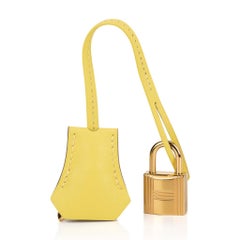 Hermes Birkin 25 Bag Lime Gold Hardware Swift Leather