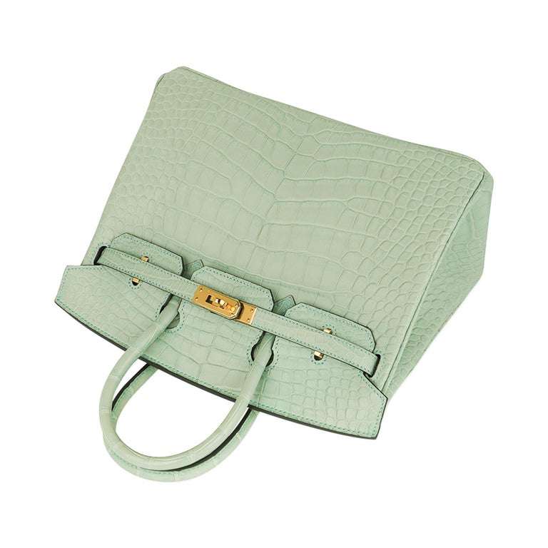 Hermes Green Vert D'eau Mint Crocodile Birkin 25 Handbag Kelly Bag