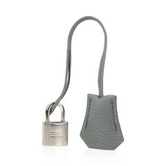 Hermes Birkin 25 Bag Vert Amande Togo Palladium Hardware