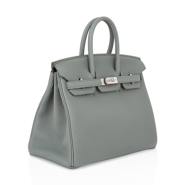 Hermes Birkin 25 Vert Verone Togo Palladium Hardware #D