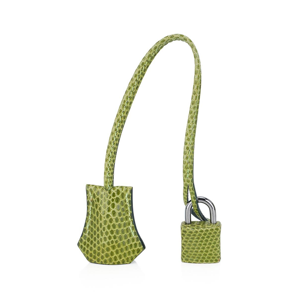 Sac Hermès Birkin 25 Vert Anis en cuir de lézard avec accessoires en palladium en vente 2
