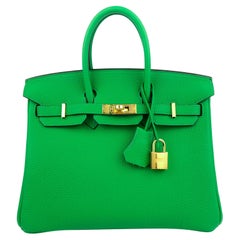 Hermes Birkin 25 Bamboo Green Togo Leather Gold Hardware NEW 