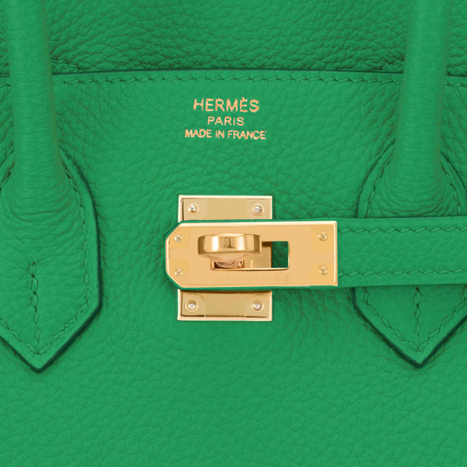 Hermes Birkin 25 Bambou Green Bamboo Gold Hardware Bag Y Stamp, 2020 3