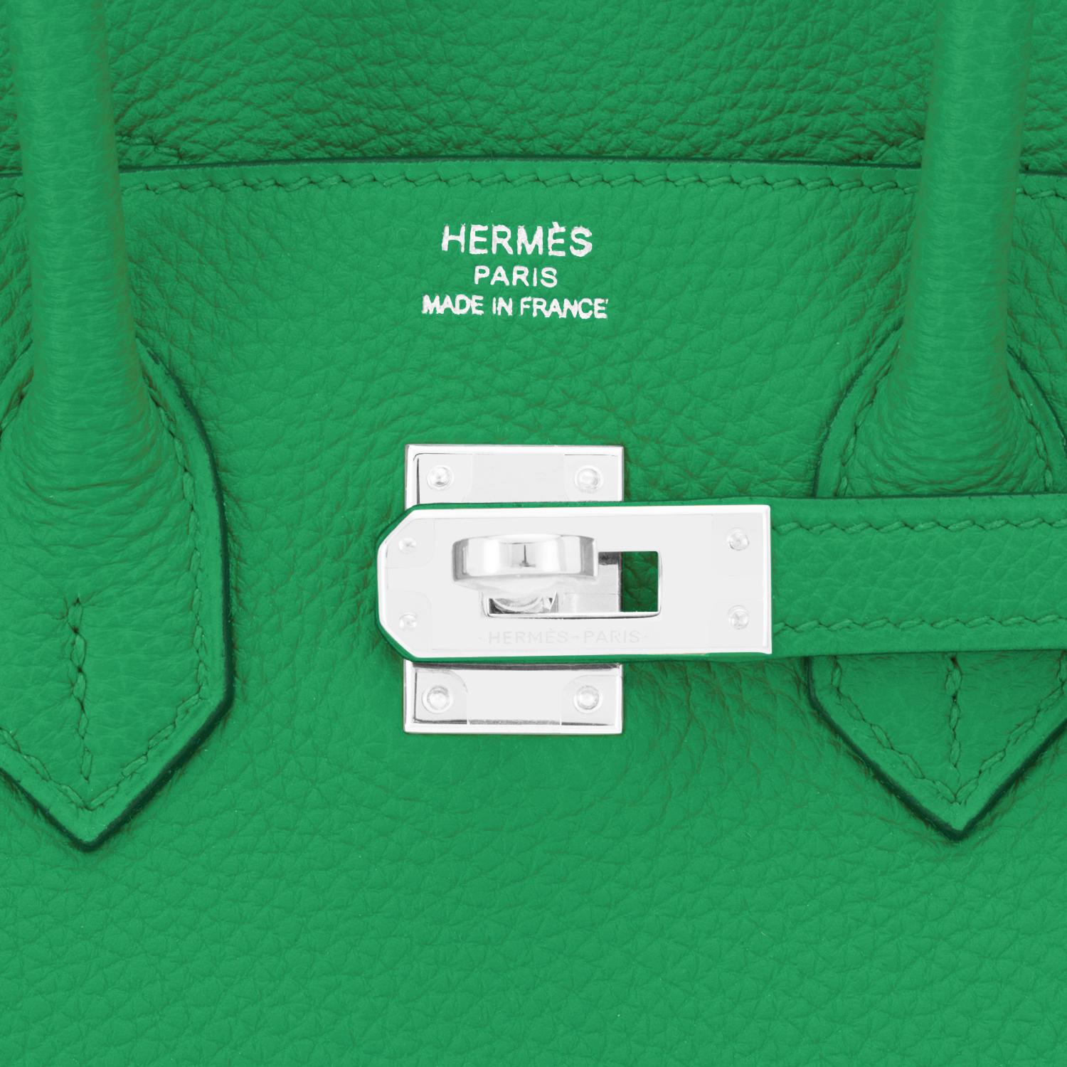 Hermes Birkin 25 Bambou Green Verso Caramel Bamboo Togo Bag Y Stamp, 2020 3