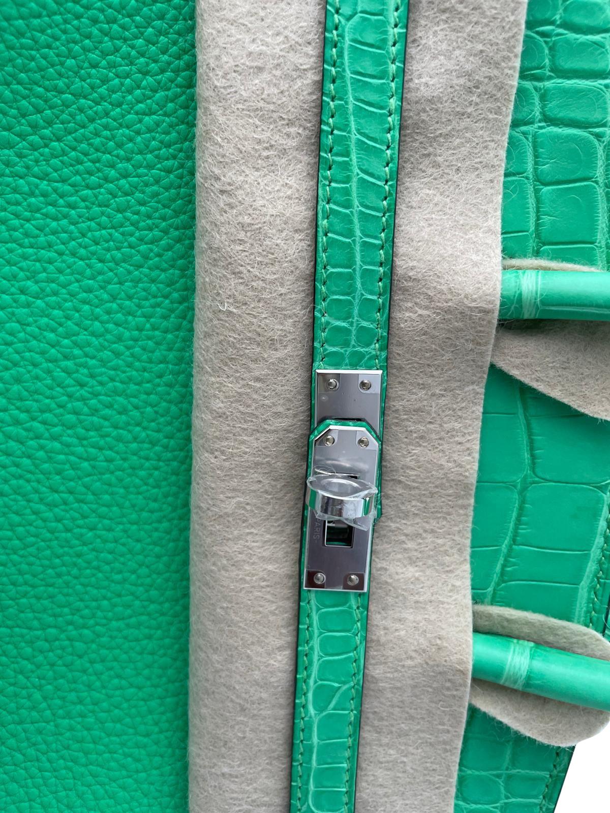 Hermes Birkin 25 Vert Comics Togo Matte Alligator Touch Palladium Hardware in vendita 7