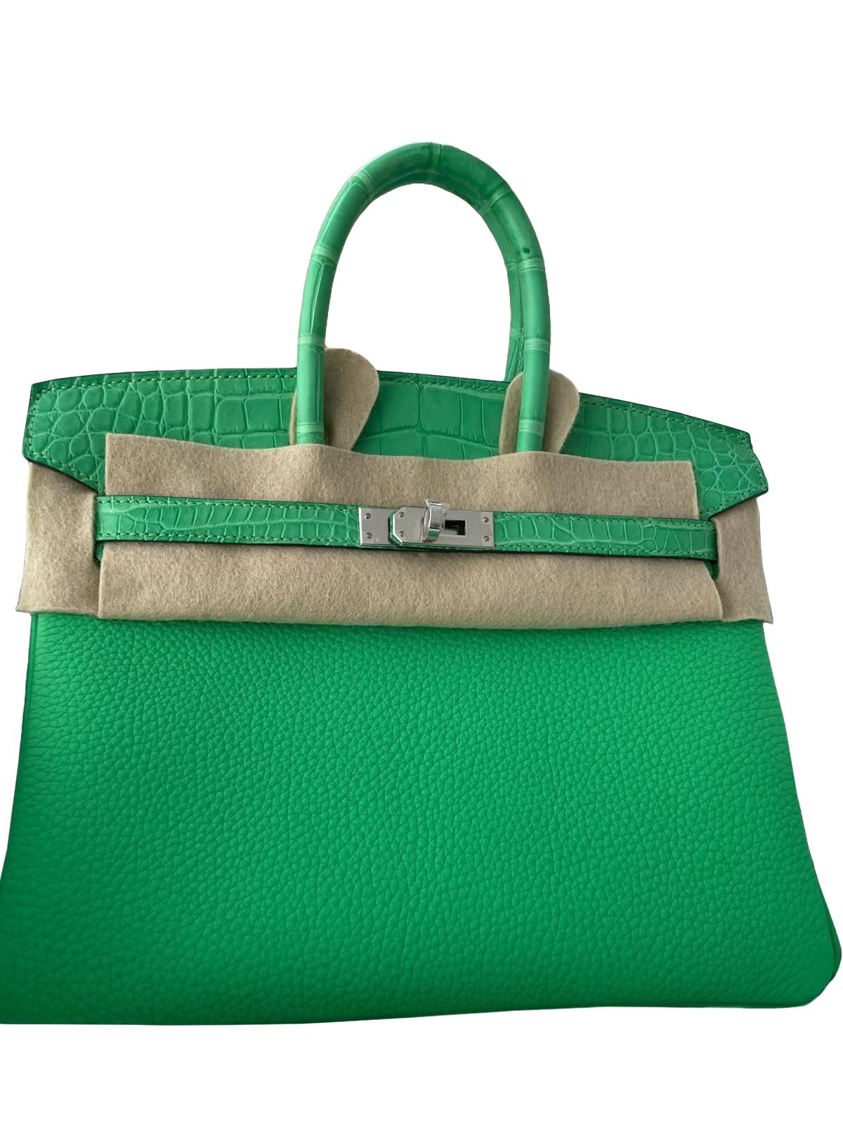 Hermes Birkin 25 Vert Comics Togo Matte Alligator Touch Palladium Hardware in vendita 2