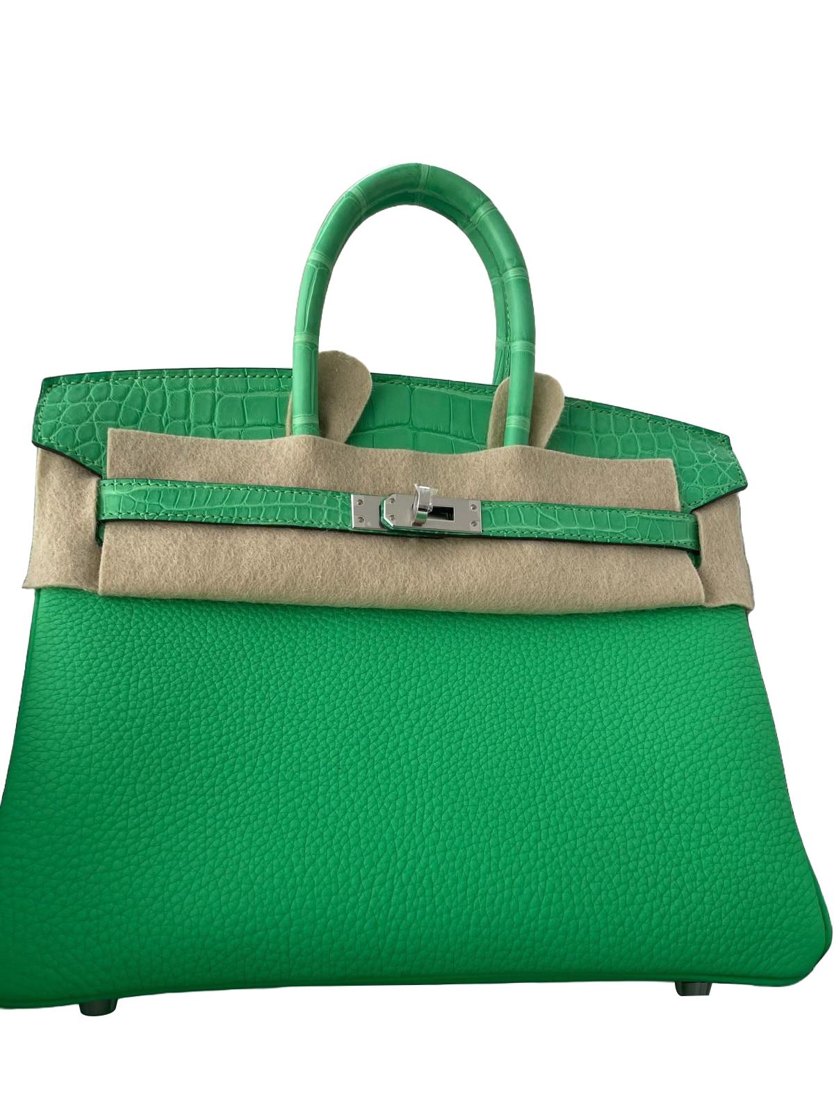 Hermes Birkin 25 Vert Comics Togo Matte Alligator Touch Palladium Hardware in vendita 3