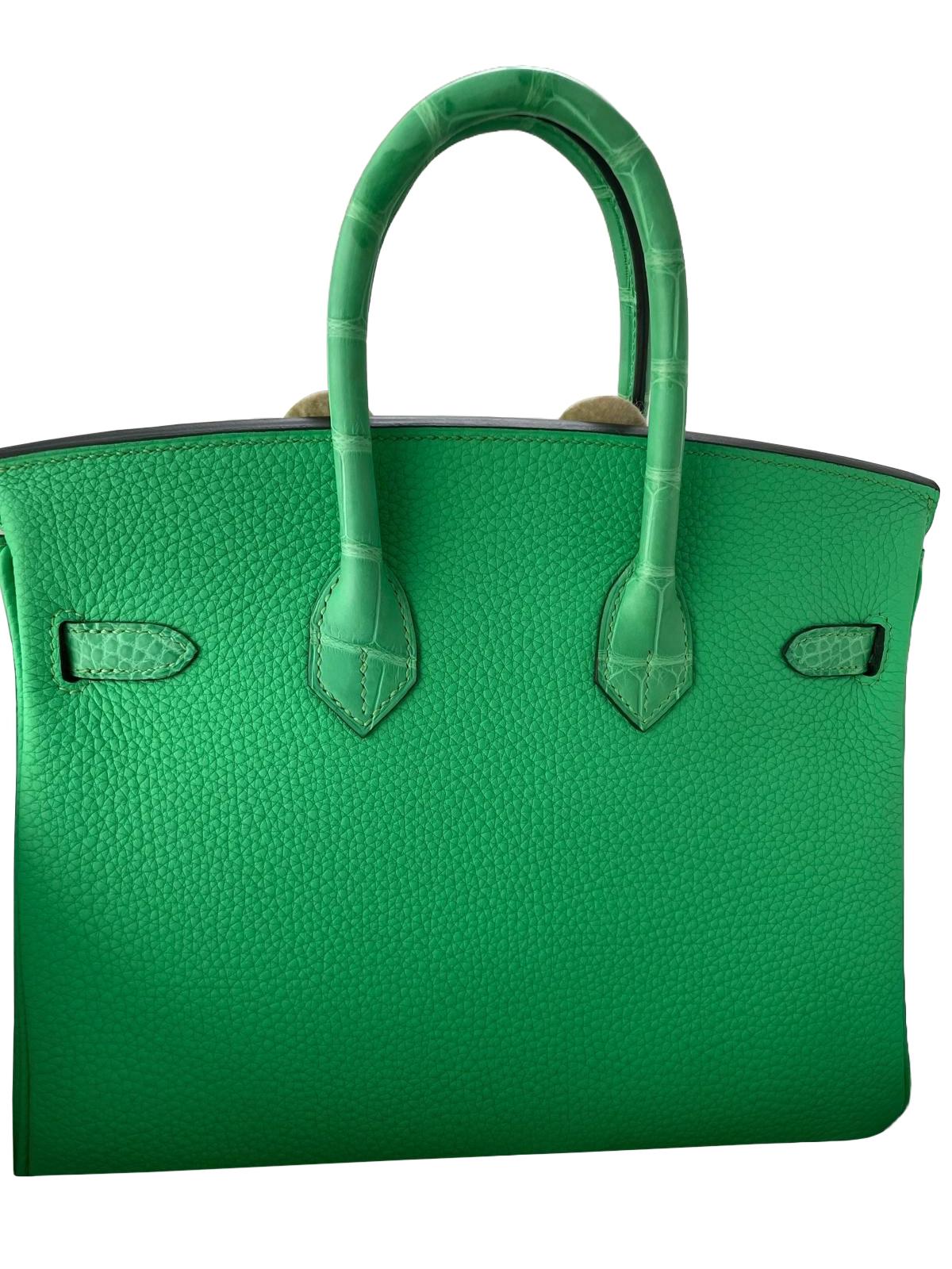 Hermes Birkin 25 Vert Comics Togo Matte Alligator Touch Palladium Hardware in vendita 4