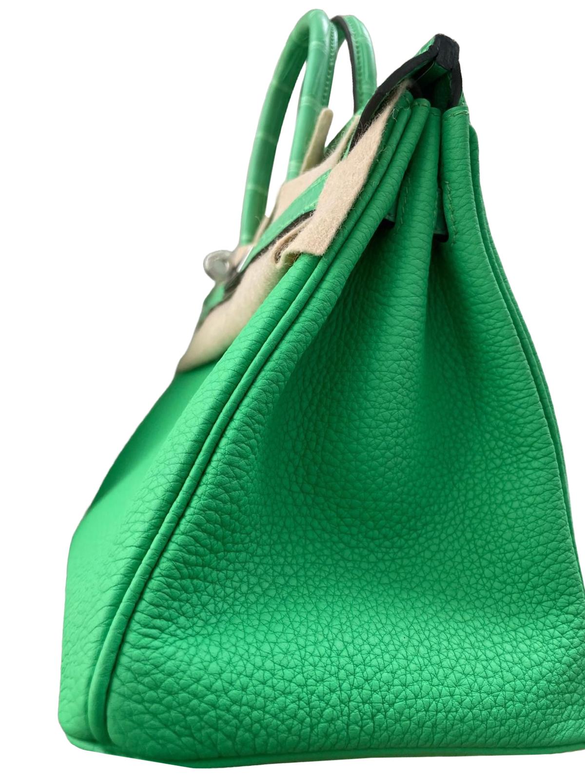 Hermes Birkin 25 Vert Comics Togo Matte Alligator Touch Palladium Hardware in vendita 5