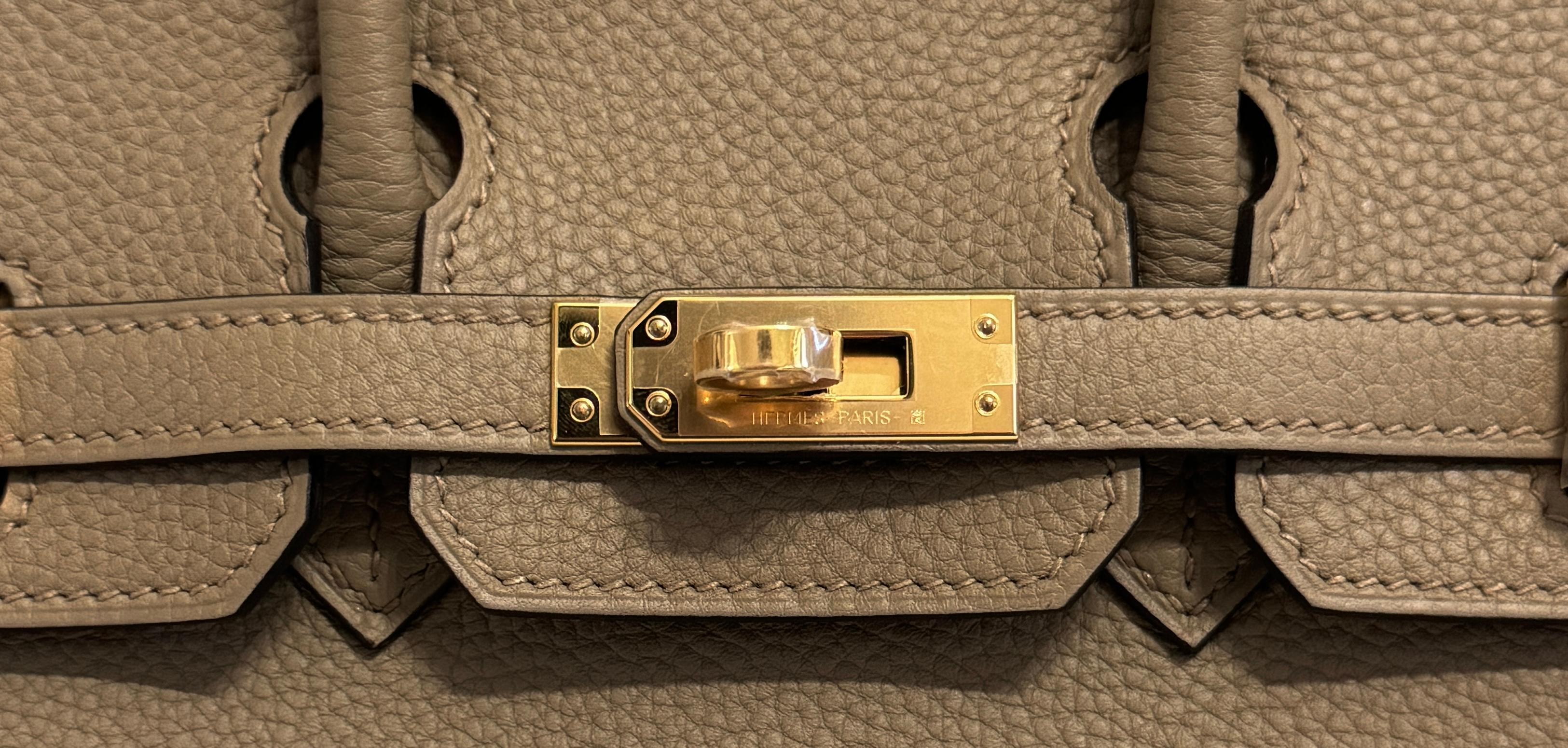 Hermes Birkin 25 Beige Marfa Tan Togo Leather Handbag Gold Hardware 2023 1
