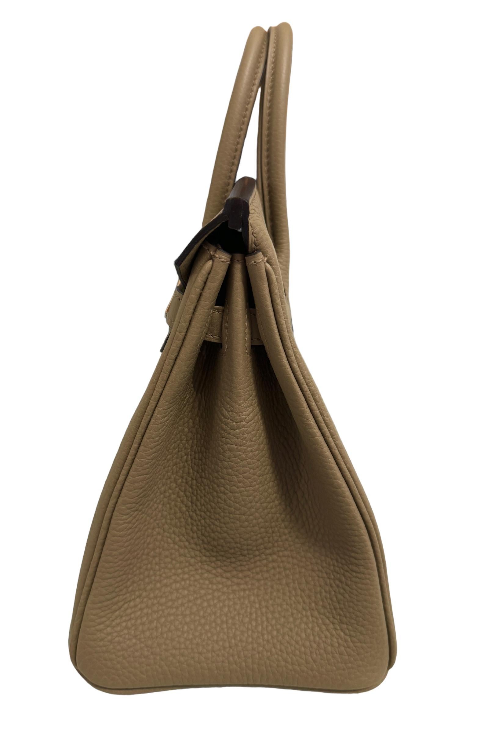 Hermes Birkin 25 Beige Marfa Tan Togo Leather Handbag Gold Hardware 2023 3
