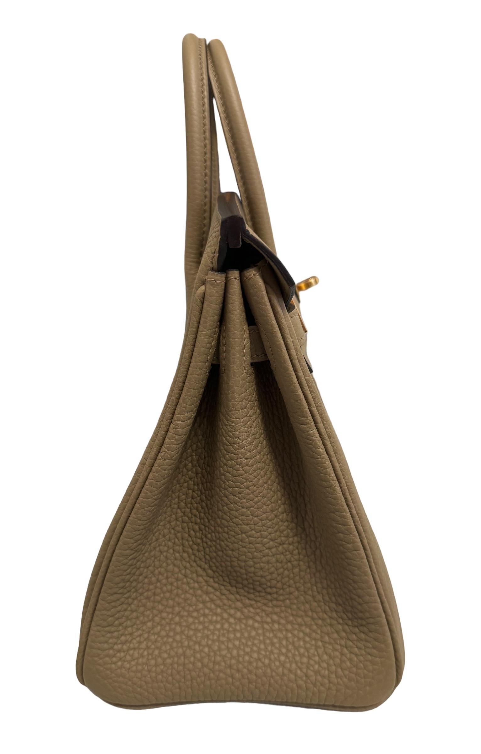 Hermes Birkin 25 Beige Marfa Tan Togo Leather Handbag Gold Hardware 2023 4