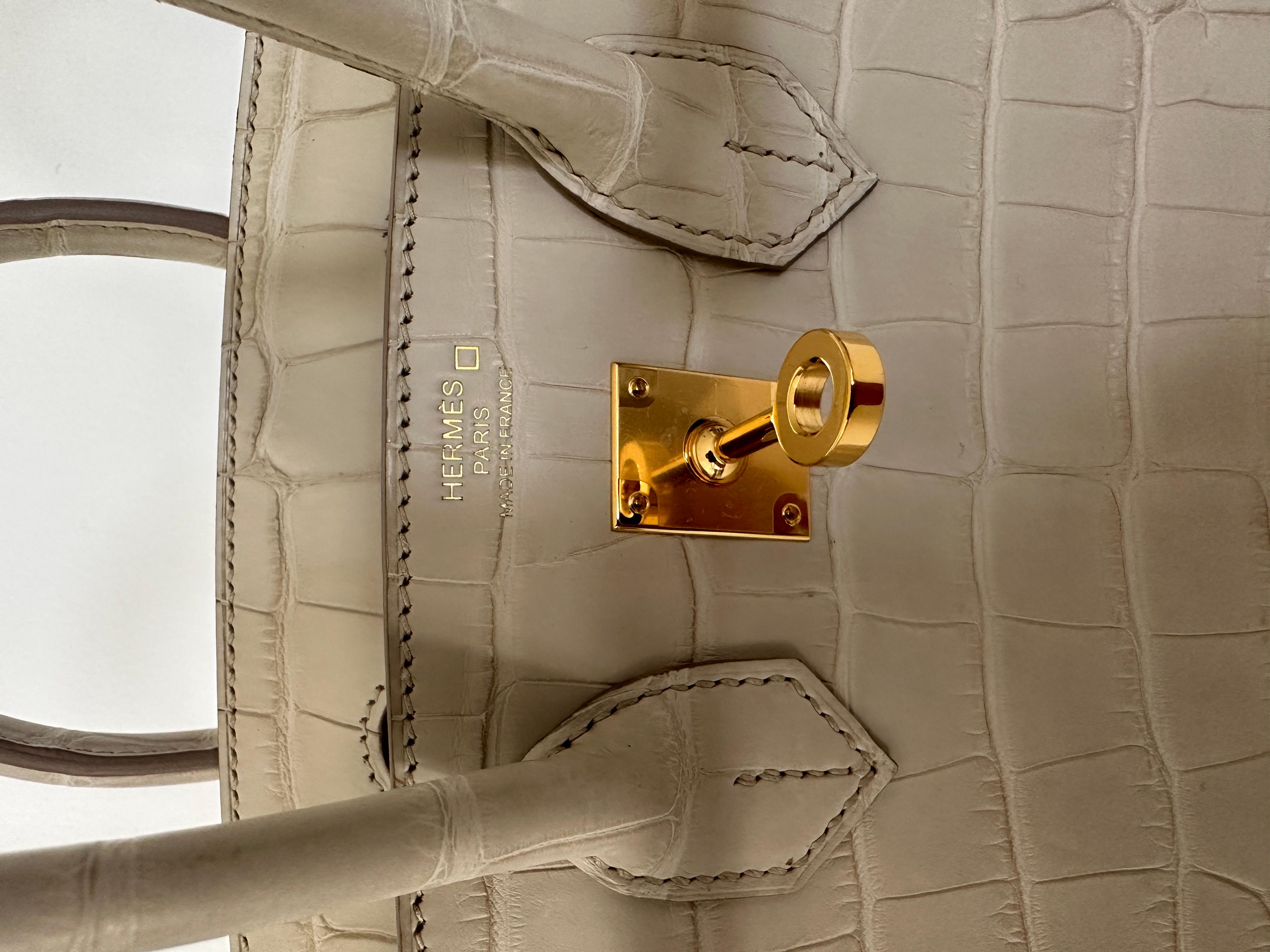 Hermes Birkin 25 Beton Matte Alligator Gold Hardware New 10