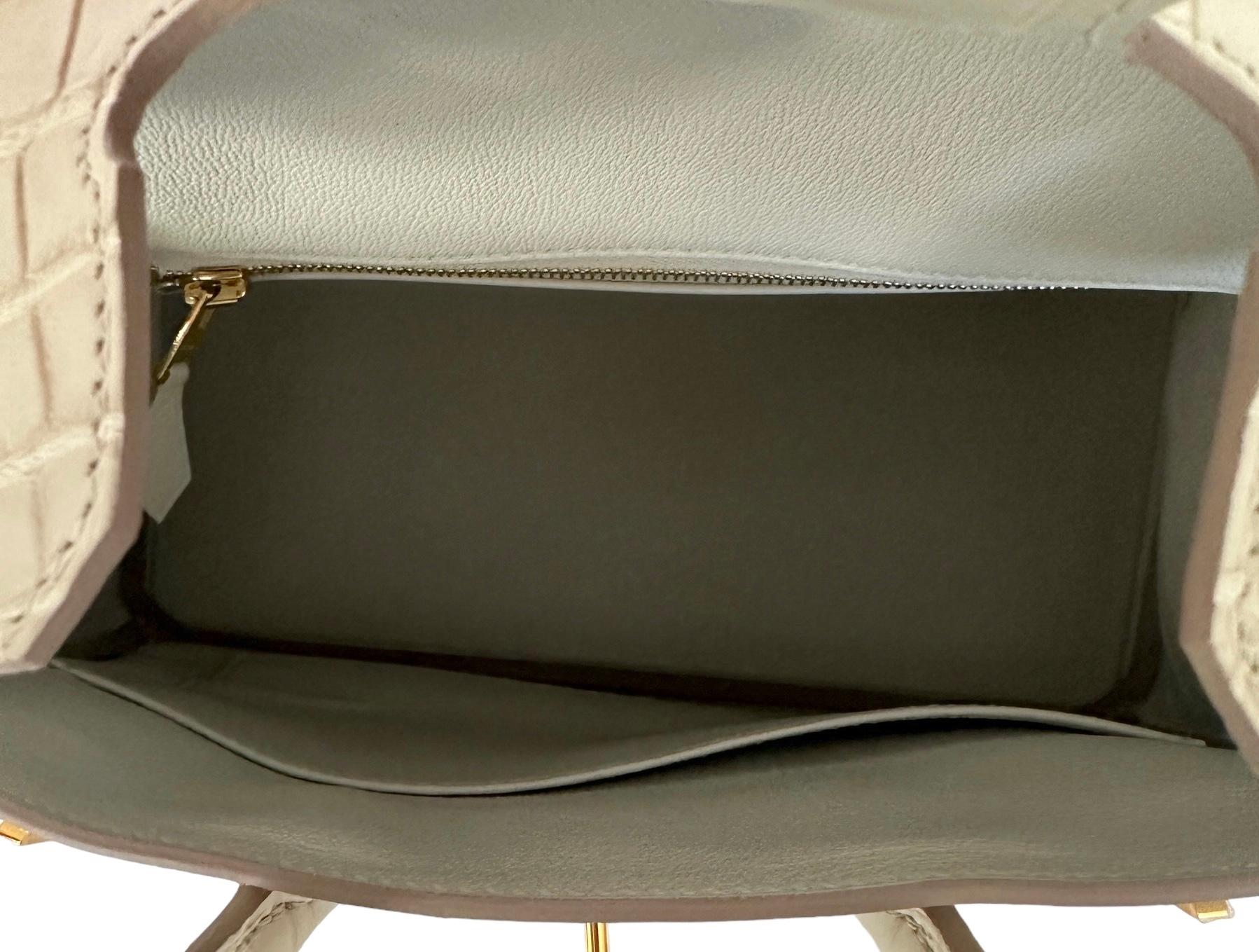 Hermes Birkin 25 Beton Matte Alligator Gold Hardware New 2