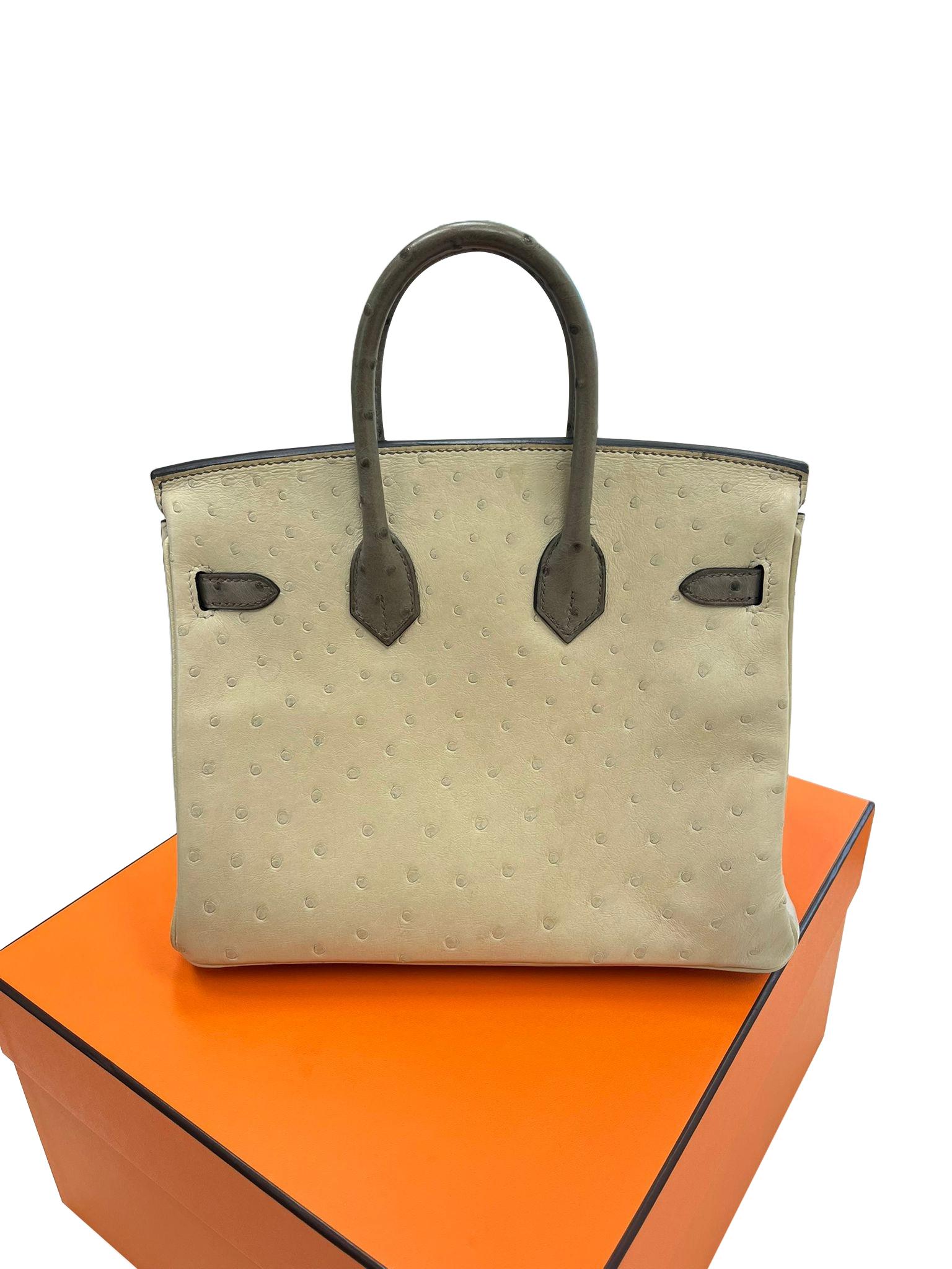 Sac à main Hermes Birkin 25 Bicolor Gris Agate et Ostrich Blanc Palladium Hardware en vente 6