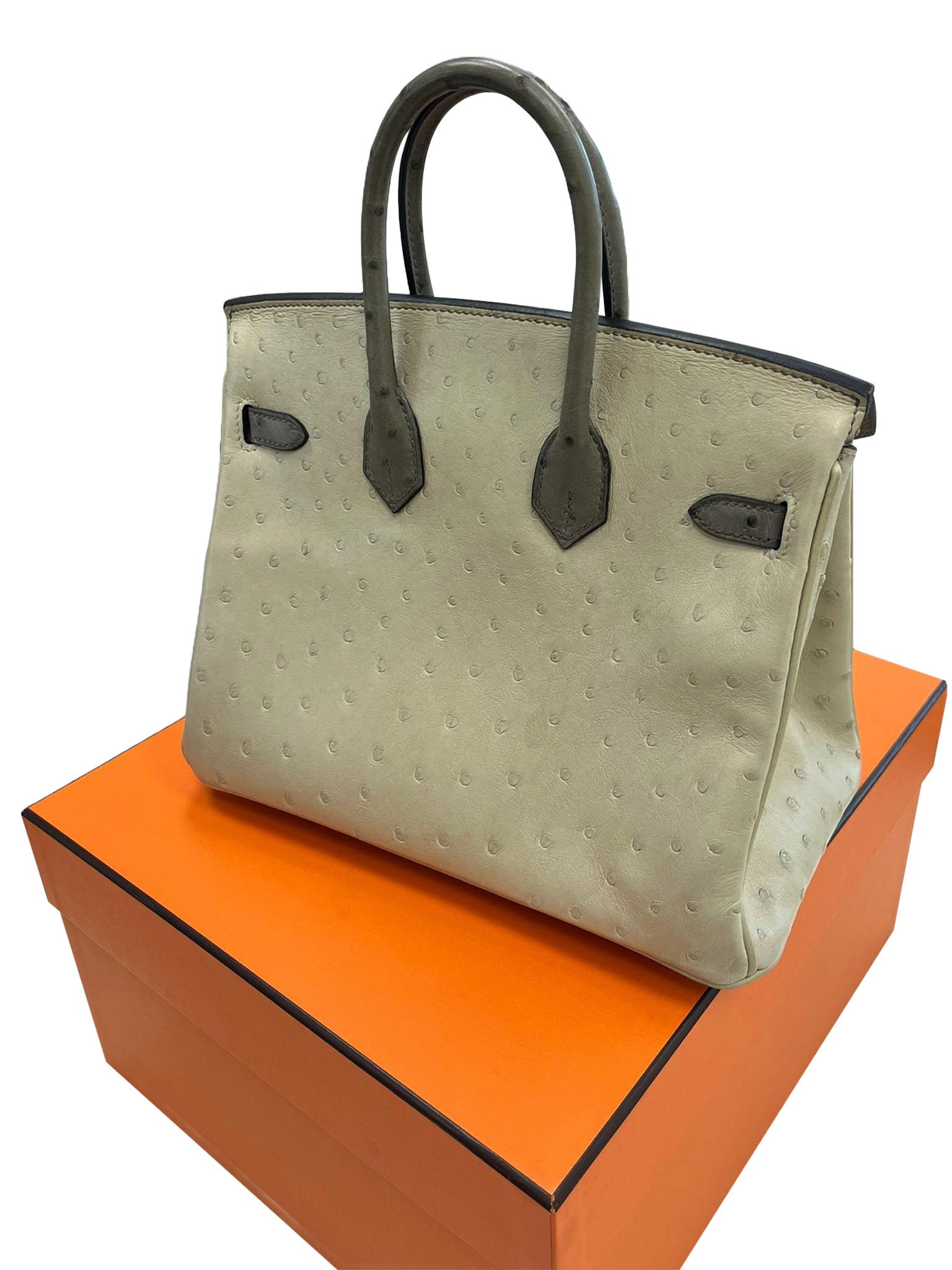 Sac à main Hermes Birkin 25 Bicolor Gris Agate et Ostrich Blanc Palladium Hardware en vente 7