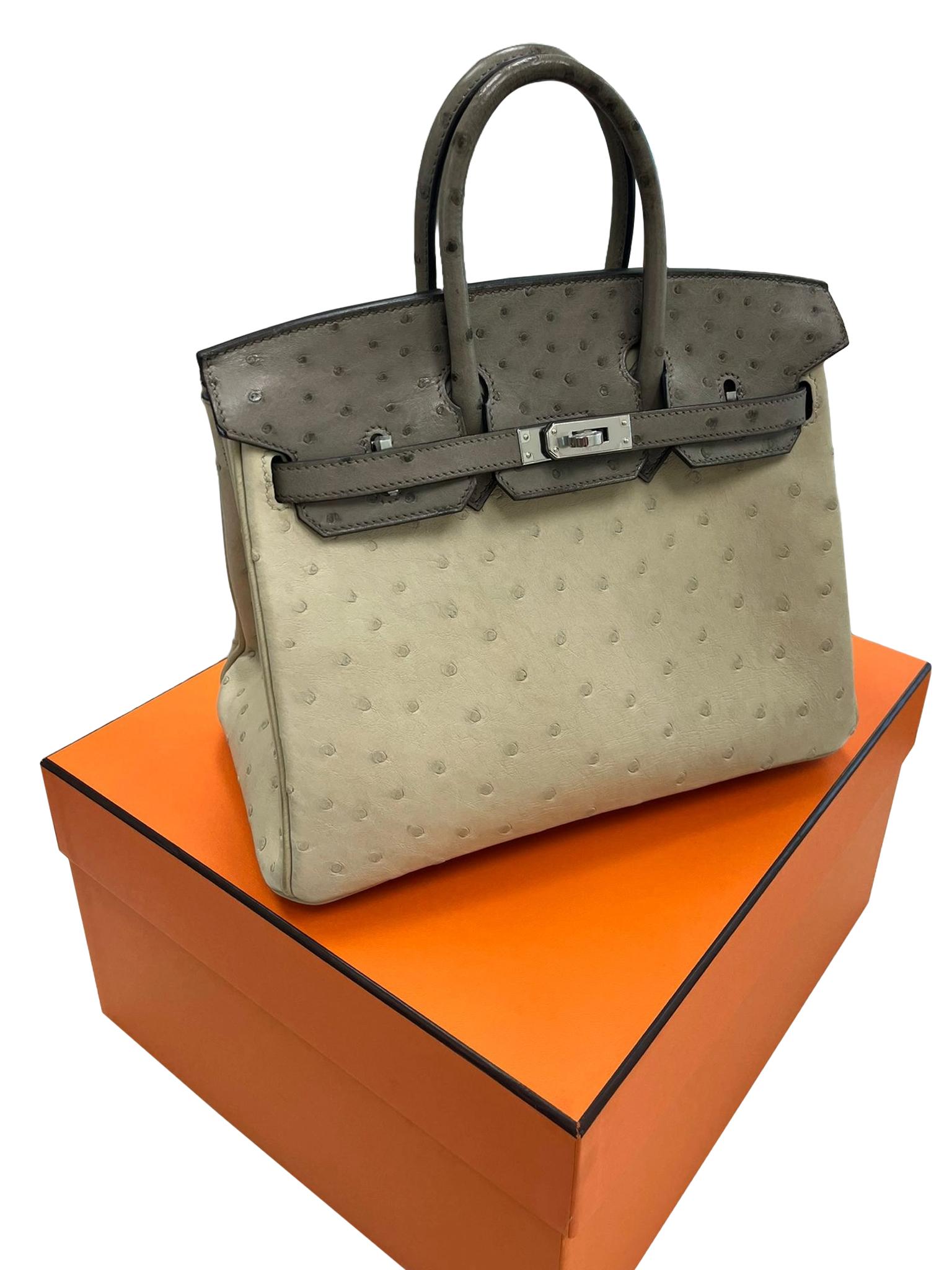 Sac à main Hermes Birkin 25 Bicolor Gris Agate et Ostrich Blanc Palladium Hardware Pour femmes en vente