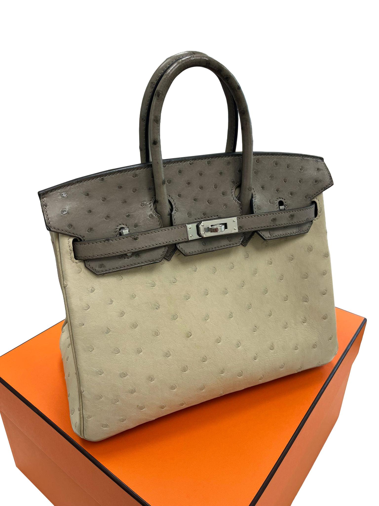 Sac à main Hermes Birkin 25 Bicolor Gris Agate et Ostrich Blanc Palladium Hardware en vente 1