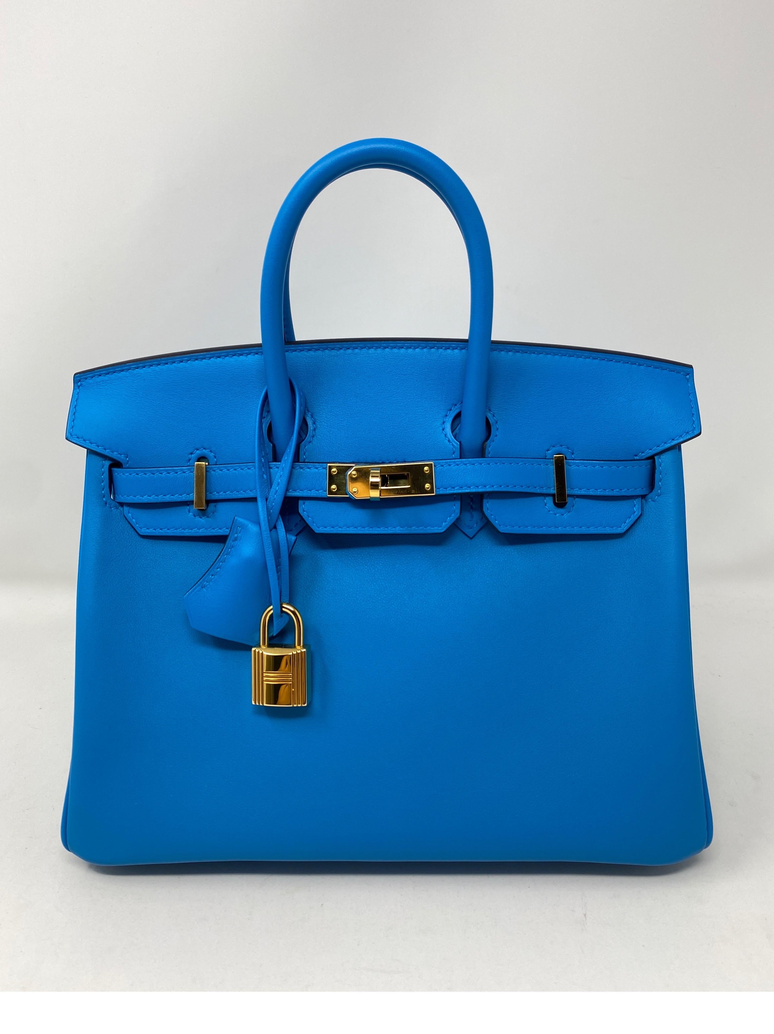 Hermes Birkin 25 Bleu Frida Bag 8