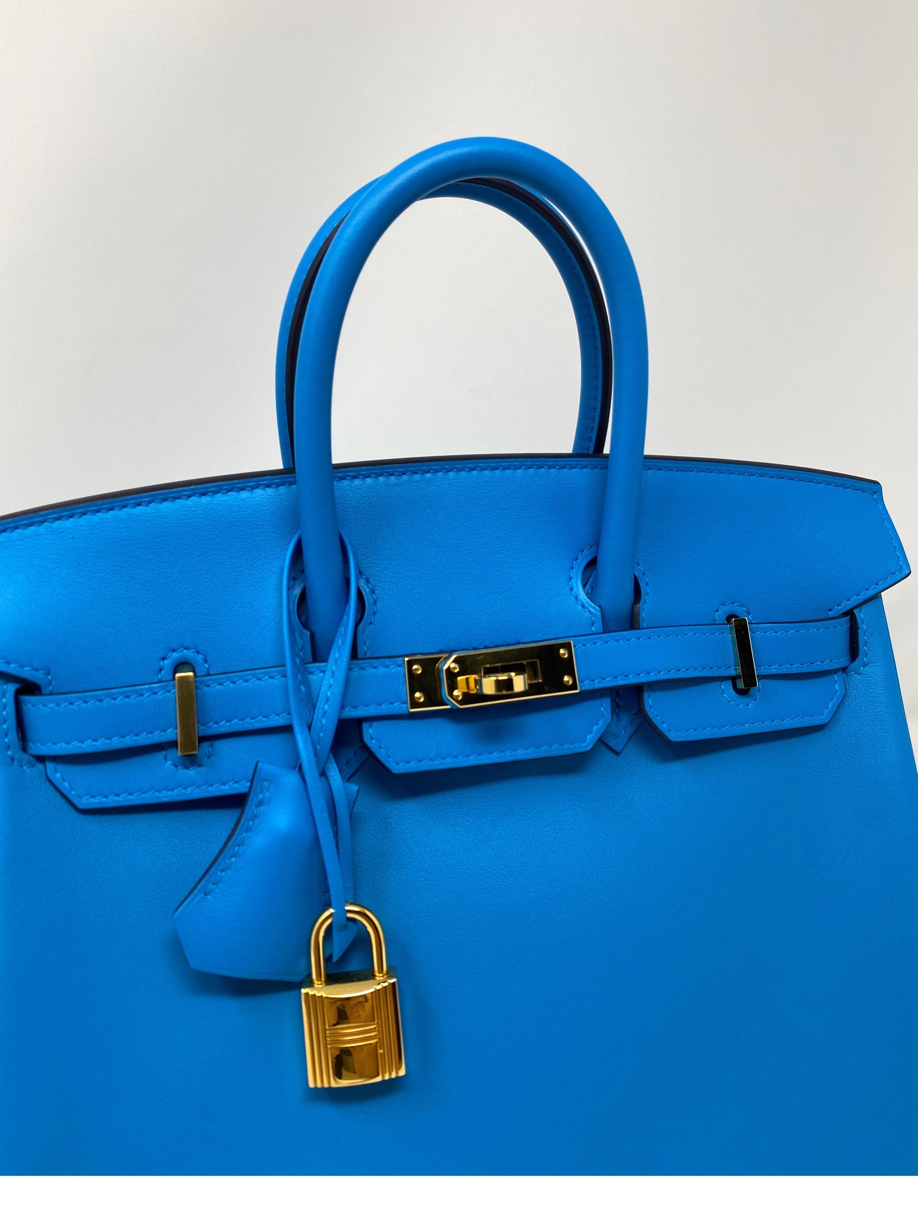 Hermes Birkin 25 Bleu Frida Bag 9