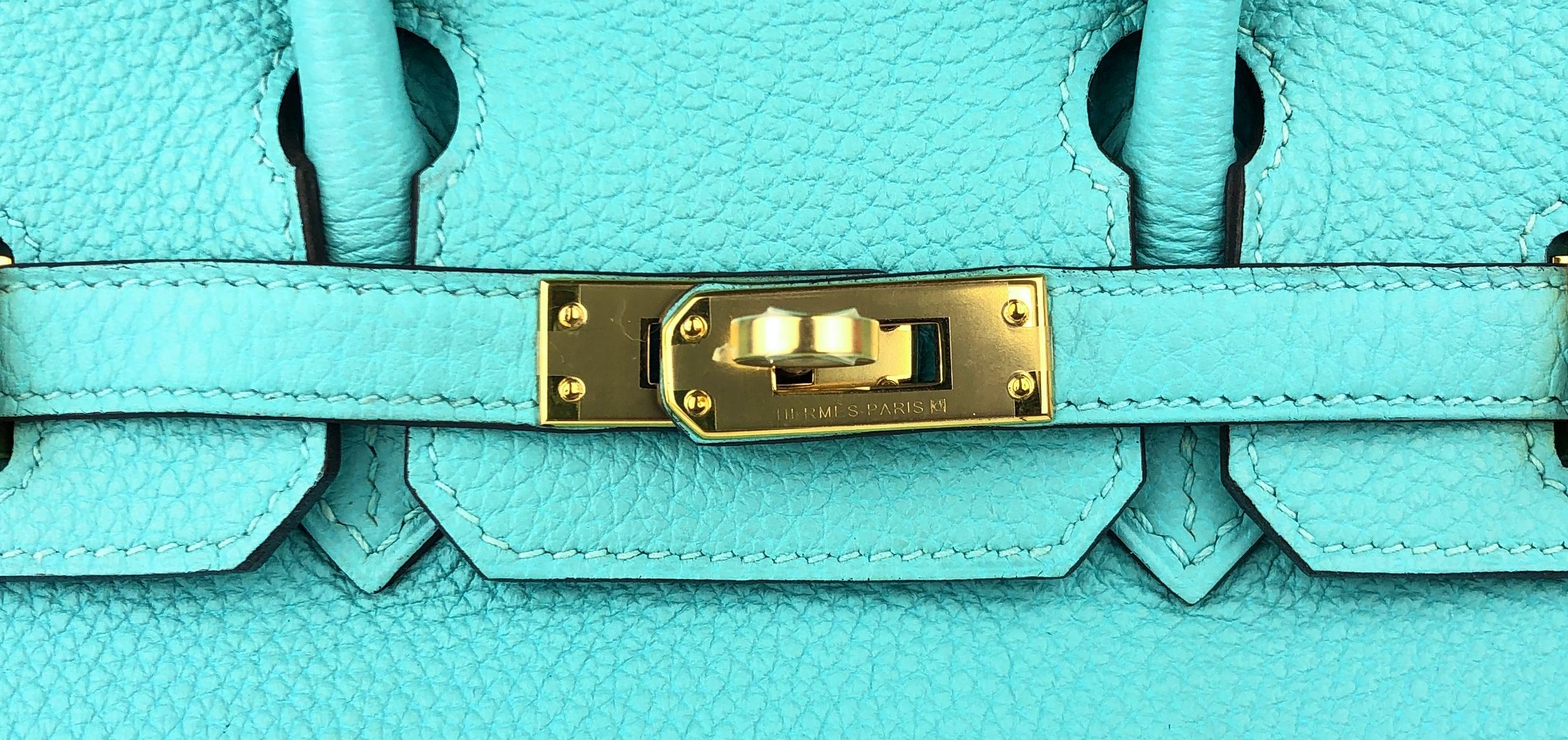 Hermes Birkin 25 Blue Atoll Tiffany Blue Togo Leather Gold Hardware en vente 4