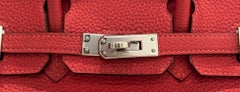 Hermes Birkin 25 Bougainvillea Togo Leather Palladium Hardware Top Handle Bag