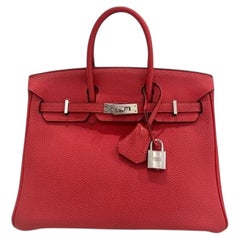 Hermes Birkin 25 Bougainvillea Togo Leather Palladium Hardware Top Handle Bag