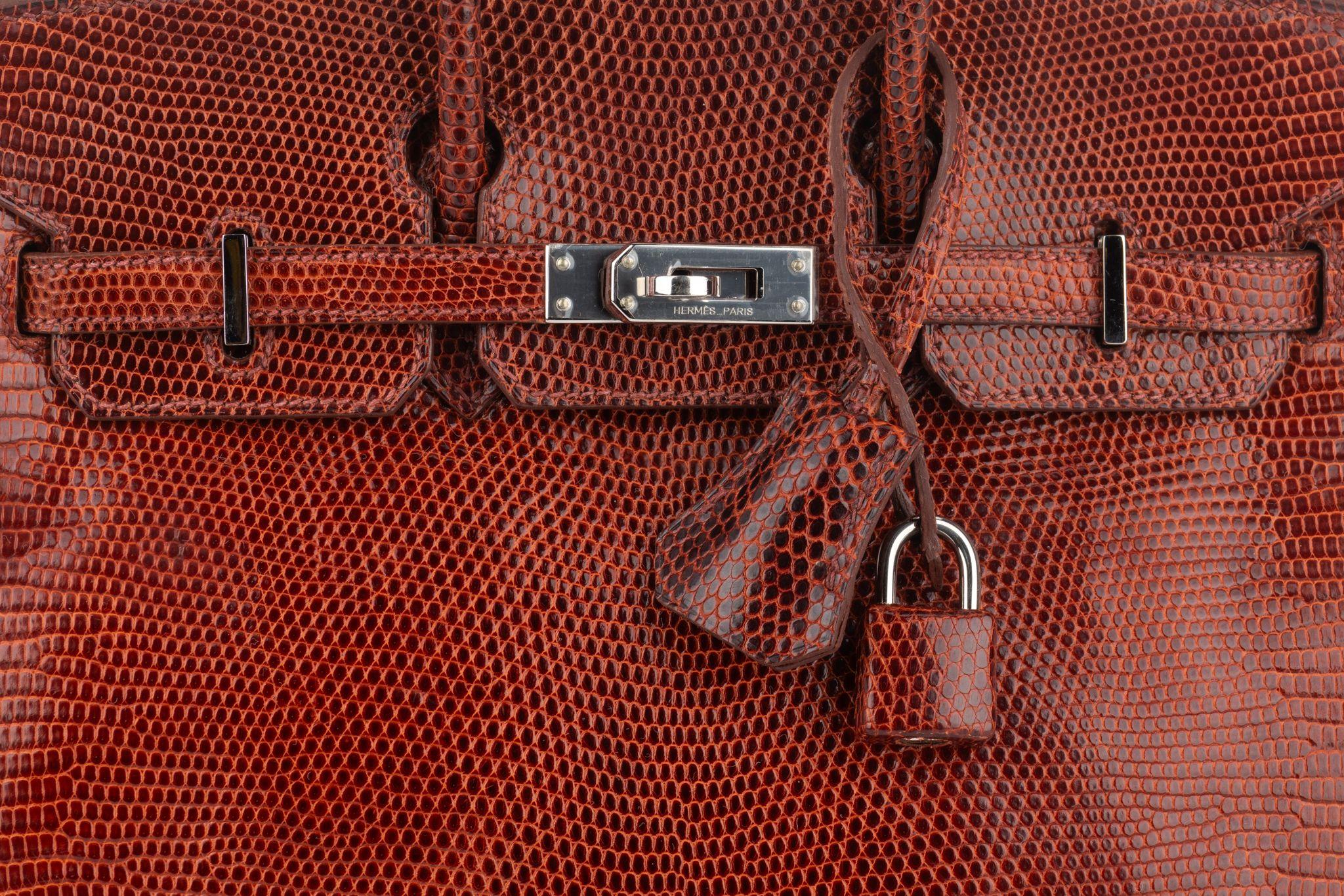 Hermès Birkin 25 Brique Lizard Palladium For Sale 2
