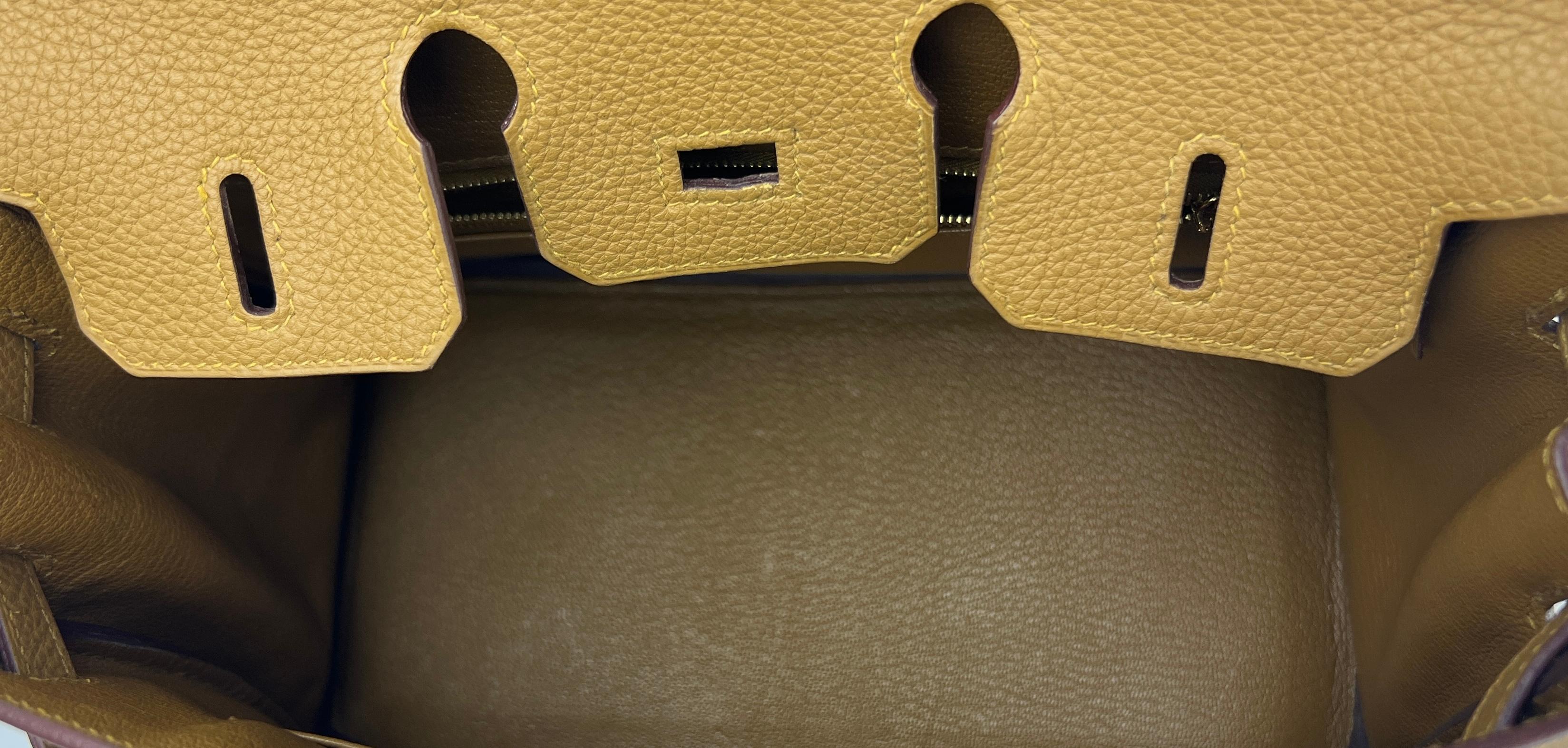 Women's or Men's Hermes Birkin 25 Bronze Dore Togo Leather Handbag Bag Gold Hardware RARE For Sale