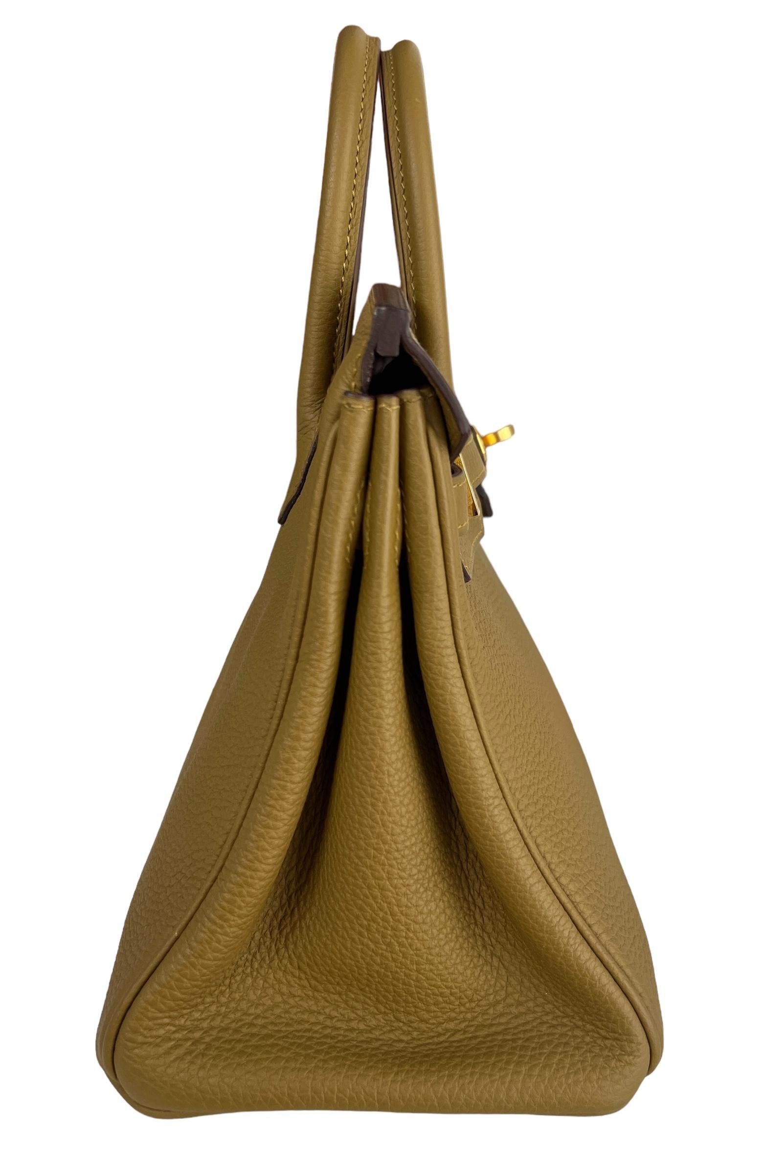 Hermes Birkin 25 Bronze Dore Togo Leather Handbag Bag Gold Hardware RARE For Sale 2
