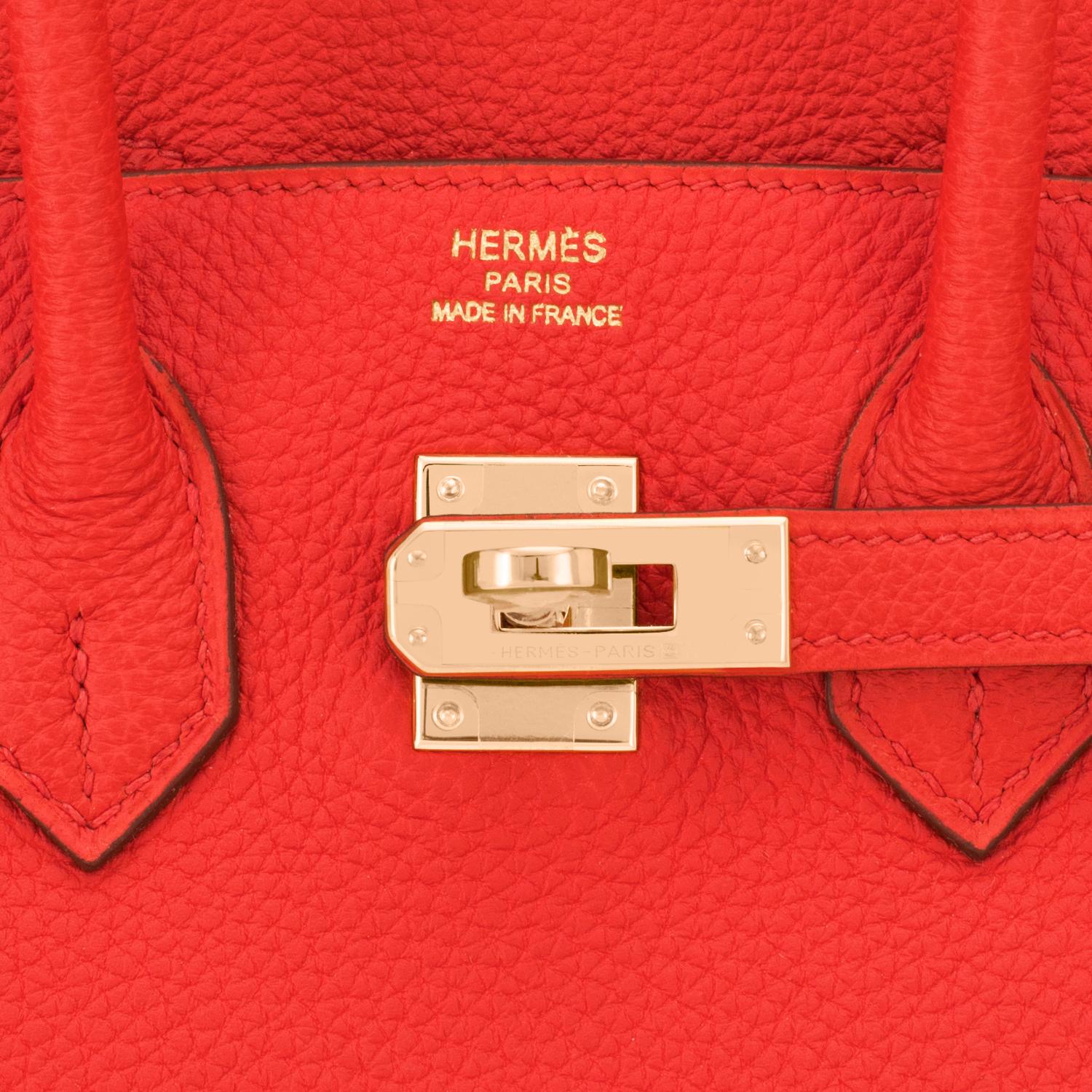 Hermes Birkin 25 Capucine Orange Red Gold Hardware For Sale 3