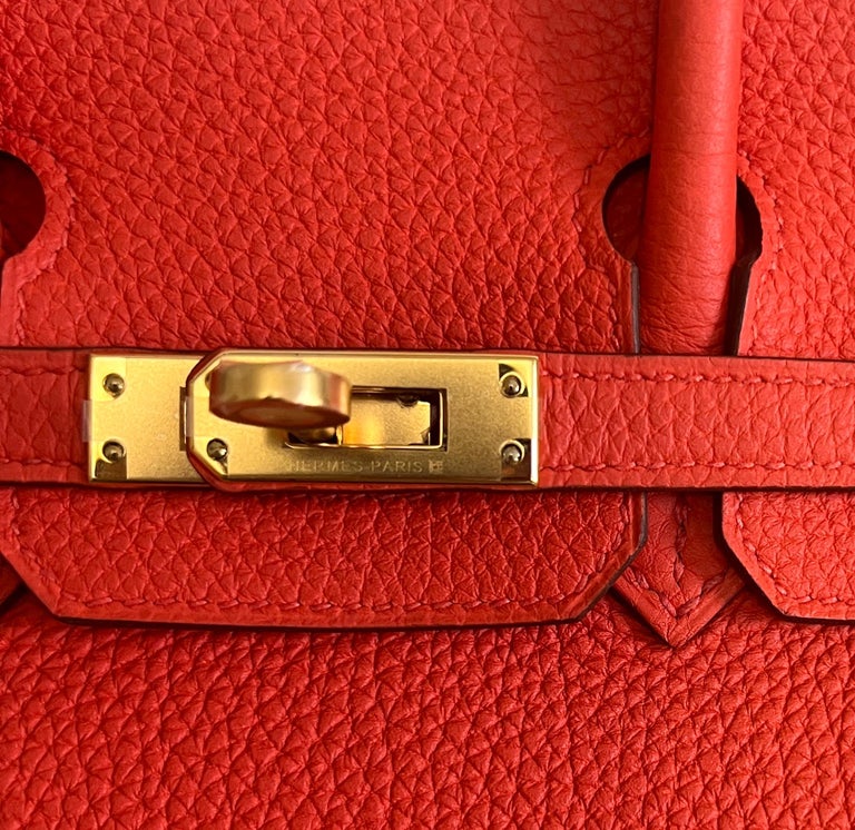 Hermes Birkin 25 Capucine Orange Red Leather Gold Hardware Satchel