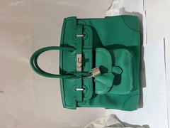 Hermes Birkin 25 Cargo Vert Vertigo palladium hardware handbag