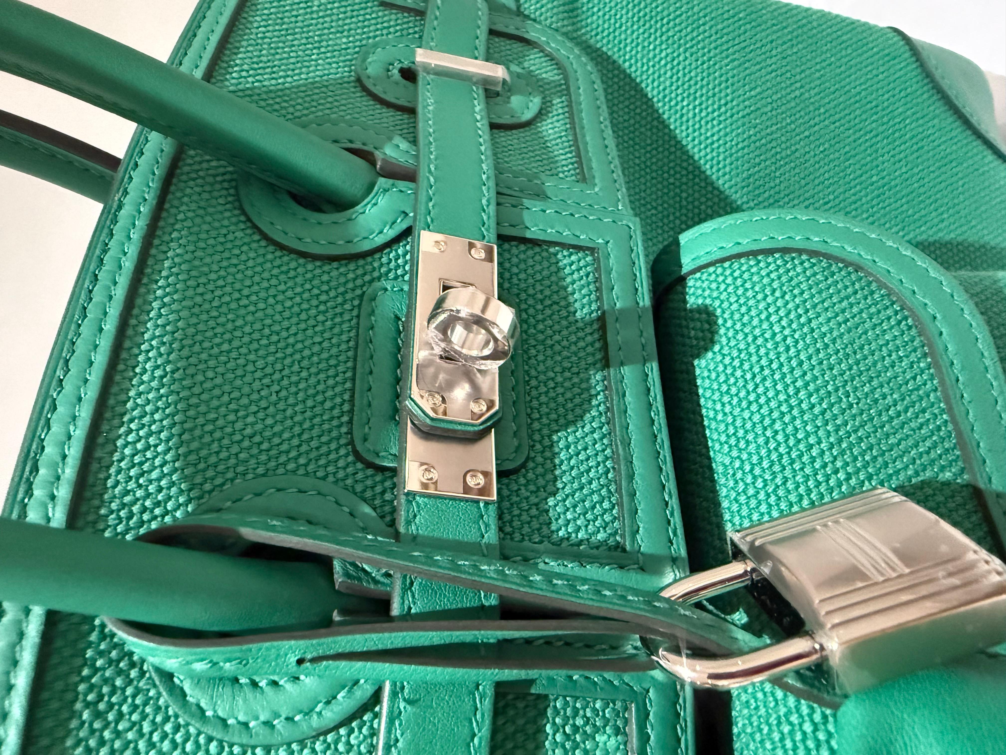 Bleu Hermes Birkin 25 Cargo Vert Vertigo palladium sac à main en vente