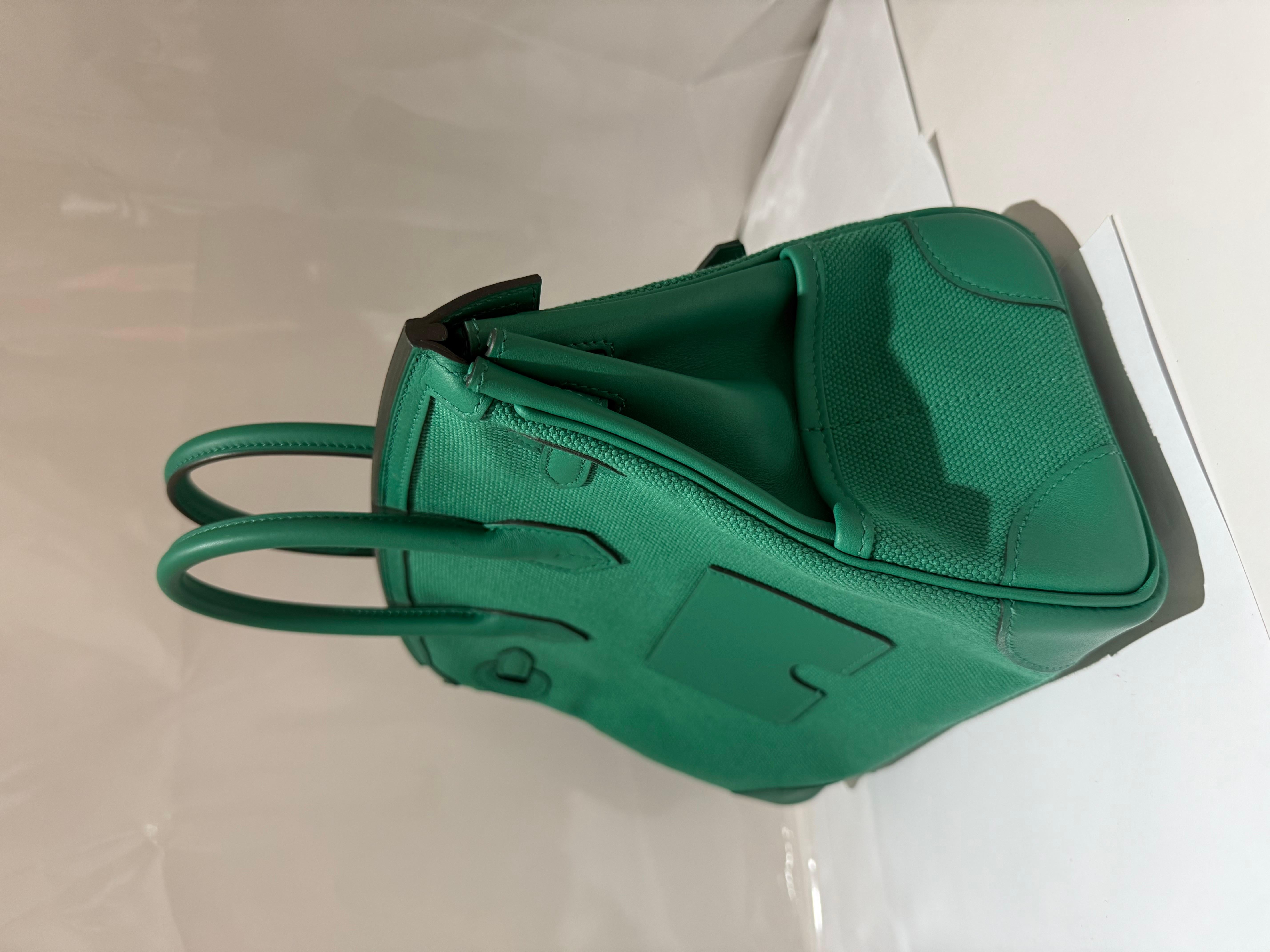 Hermes Birkin 25 Cargo Vert Vertigo palladium sac à main Unisexe en vente
