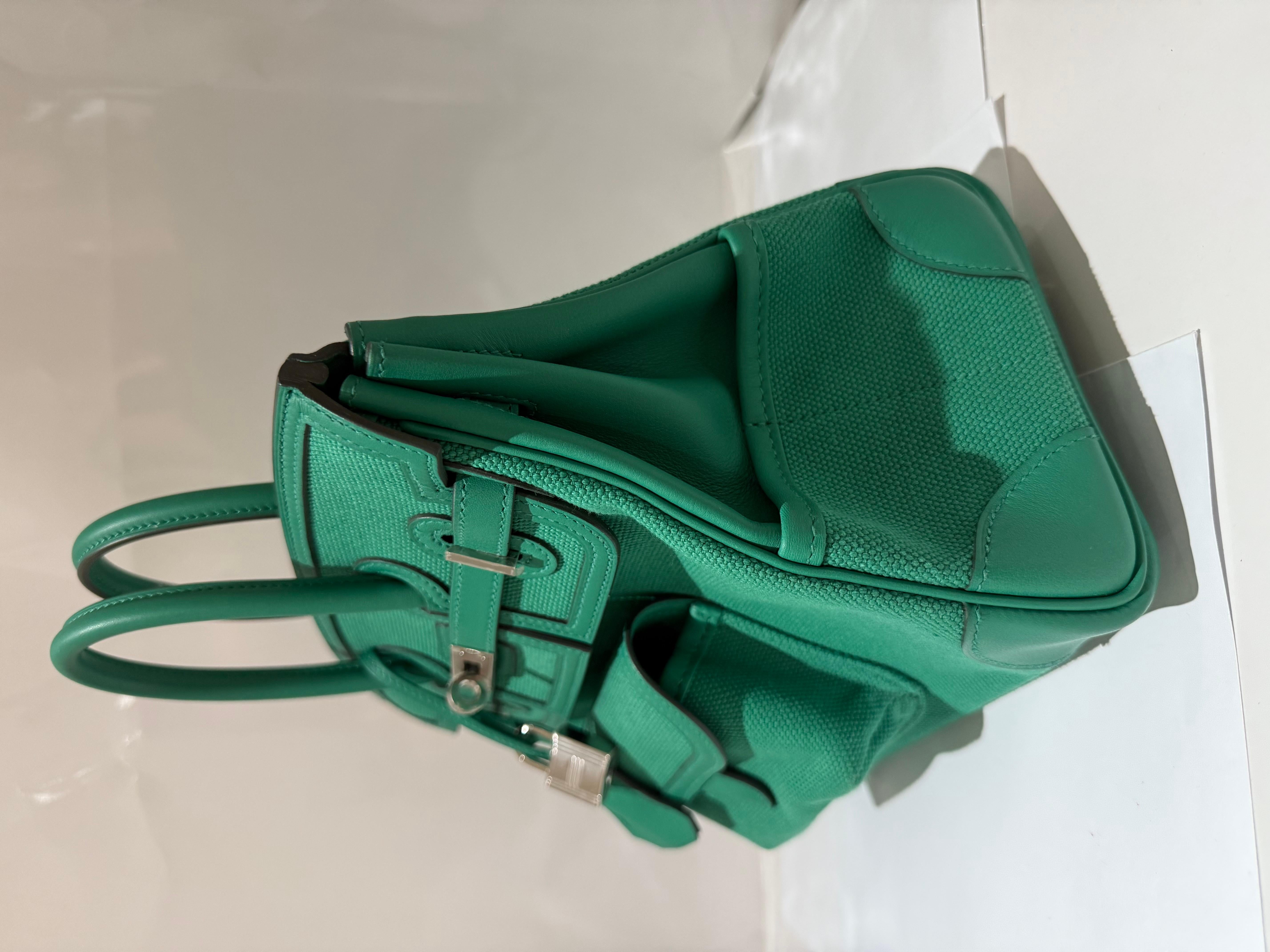 Hermes Birkin 25 Cargo Vert Vertigo palladium sac à main en vente 1