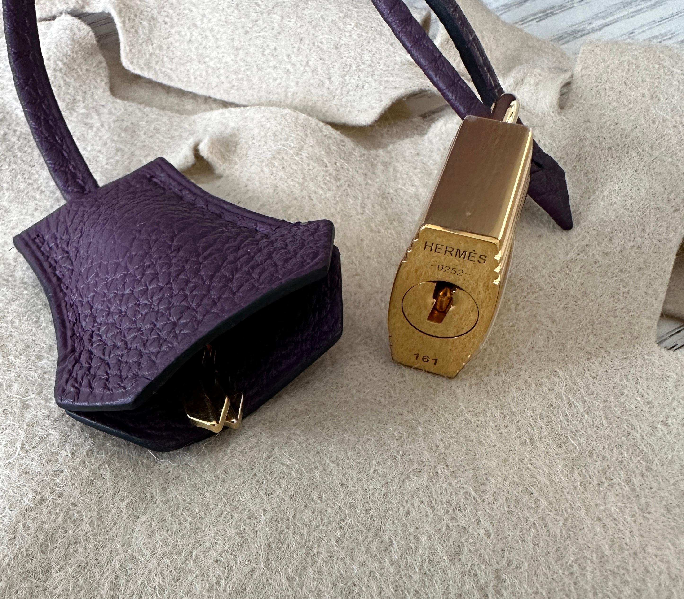 Hermes Birkin 25 Cassis Togo Gold New B 2023 In New Condition In West Chester, PA