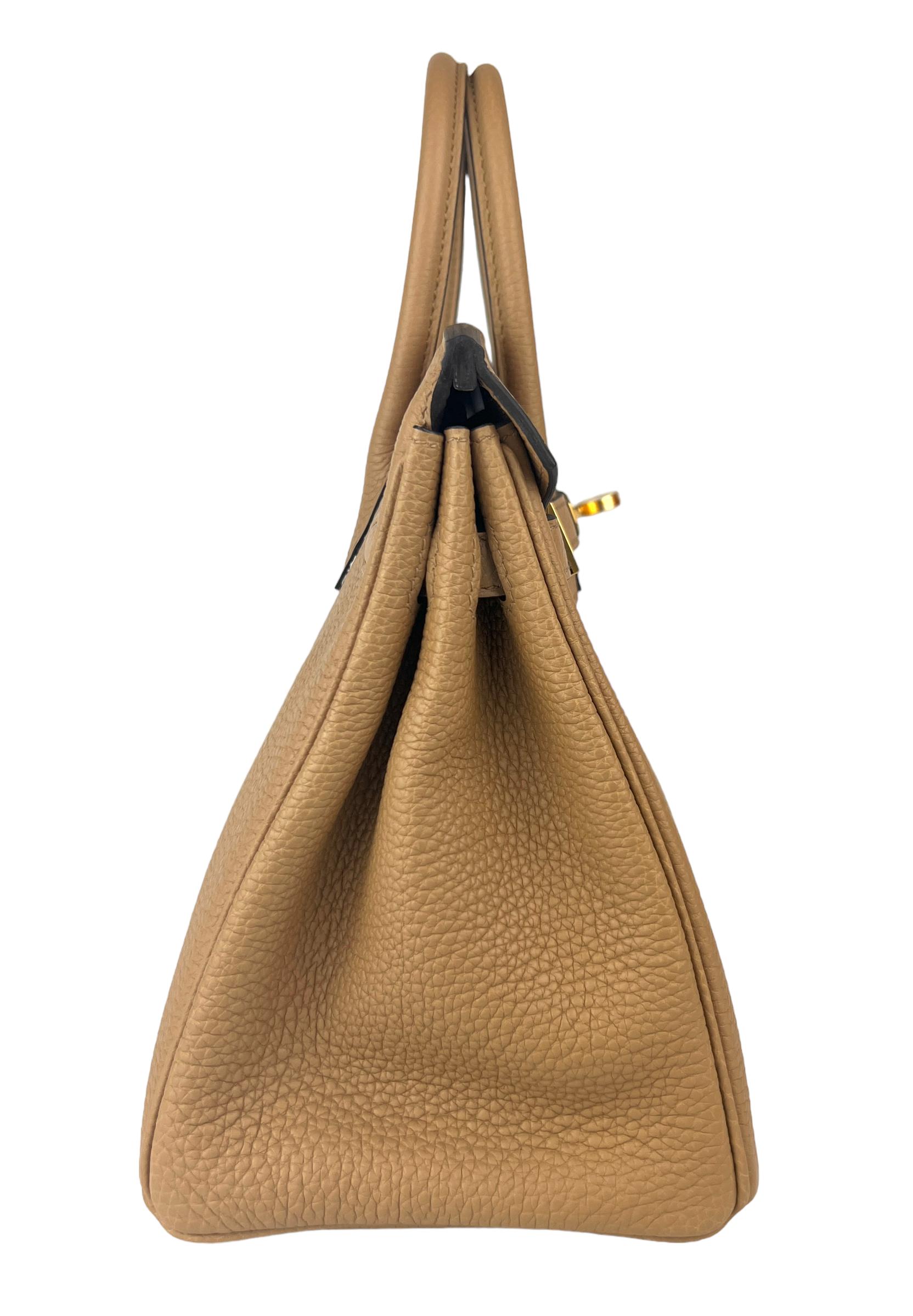 Hermes Birkin 25 Chai Tan Togo Leather Handbag Gold Hardware NEW 4