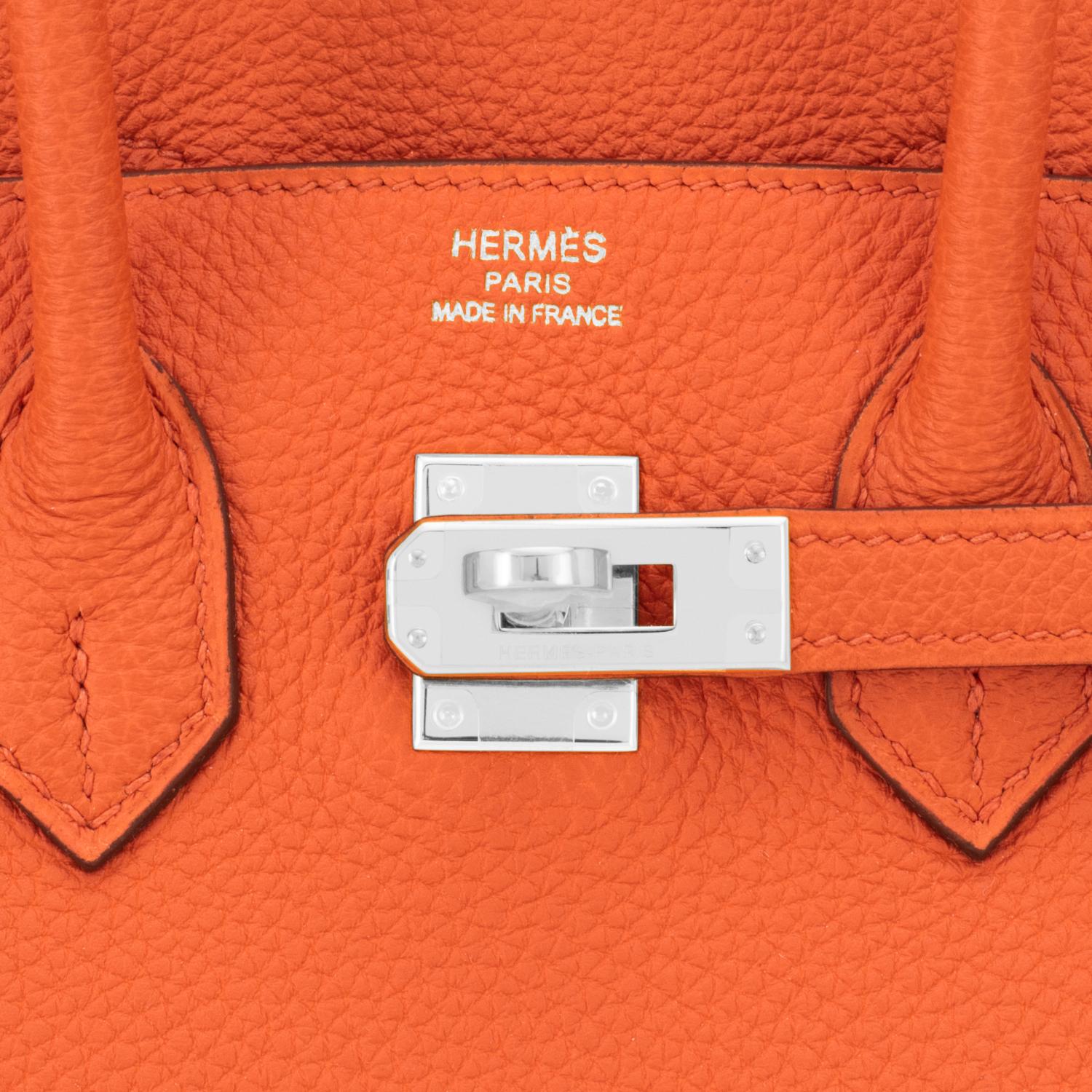 Hermes Birkin 25 Classic Orange Palladium Hardware Bag ULTRA RARE W Stamp, 2024 For Sale 6