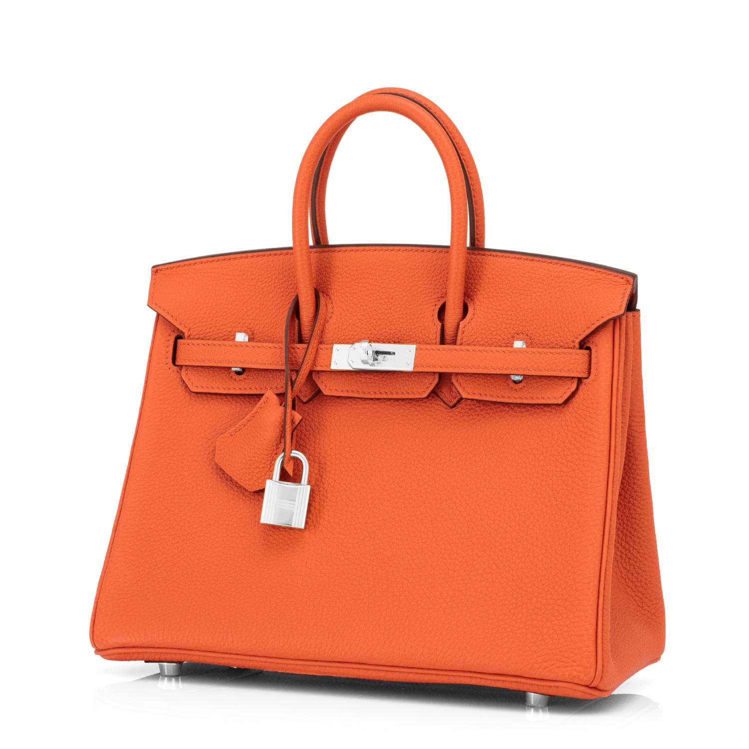 Women's or Men's Hermes Birkin 25 Classic Orange Palladium Hardware Bag ULTRA RARE W Stamp, 2024 For Sale
