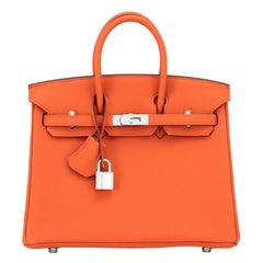 Hermes Birkin 25 Classic Orange Palladium Hardware Bag ULTRA RARE W Stamp, 2024