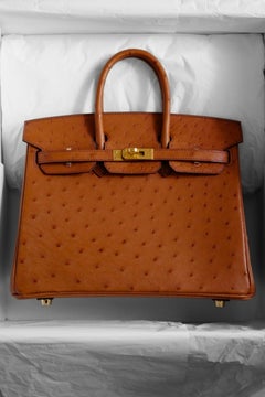 Hermès Birkin 25 Cognac Ostrich Leather Gold Hardware G Stamp 2026