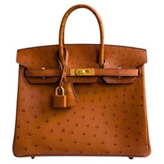 Hermès Birkin 25 Cognac Ostrich Leather Gold Hardware G Stamp 2026