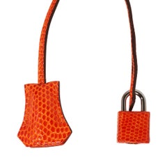 Hermes Birkin 25 Coveted Lizard Tangerine Palladium Hardware