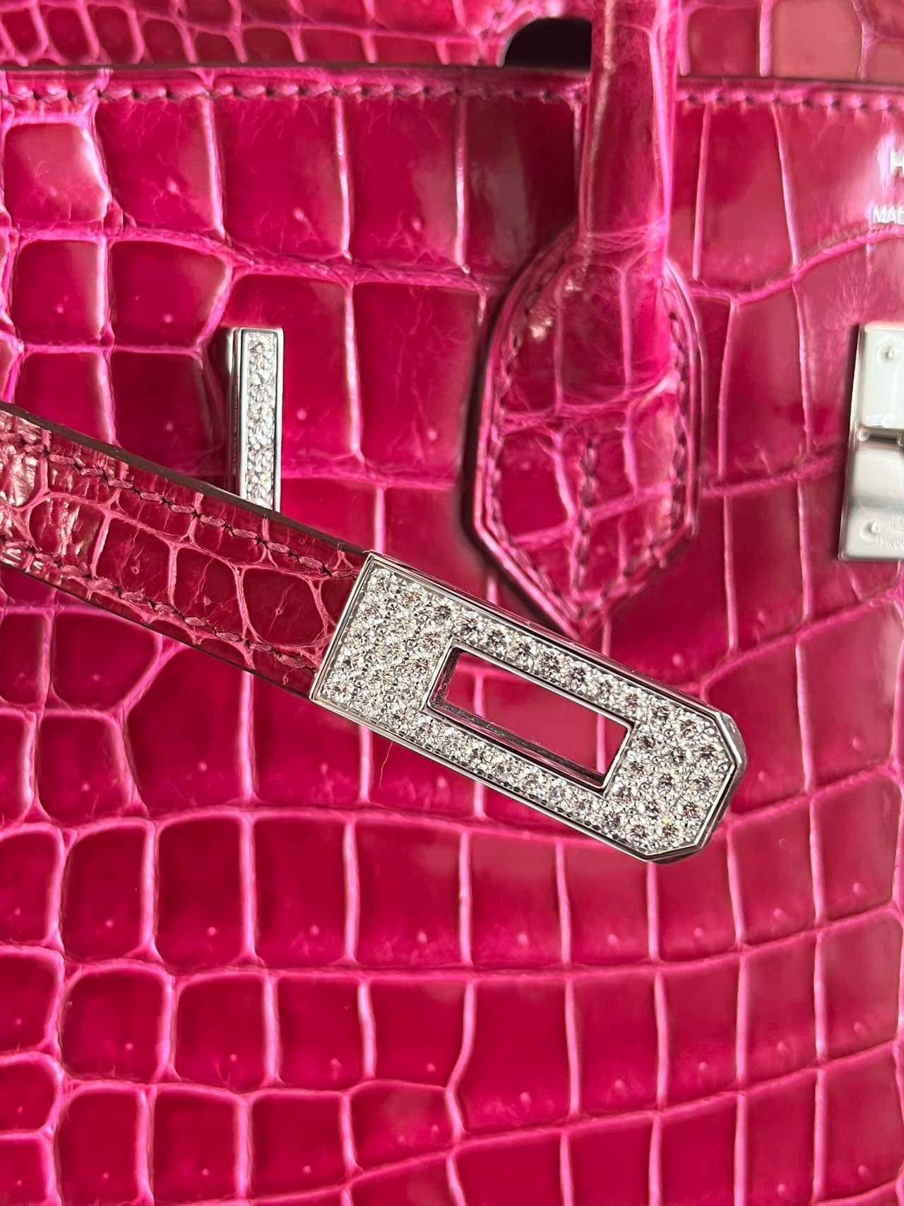 Hermes Birkin 25 Crocodile Porosus white gold with diamonds bag For Sale 8