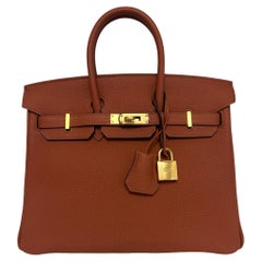 Hermes Birkin 25 Cuivre Orange Togo Leder mit Goldbeschlägen aus Leder