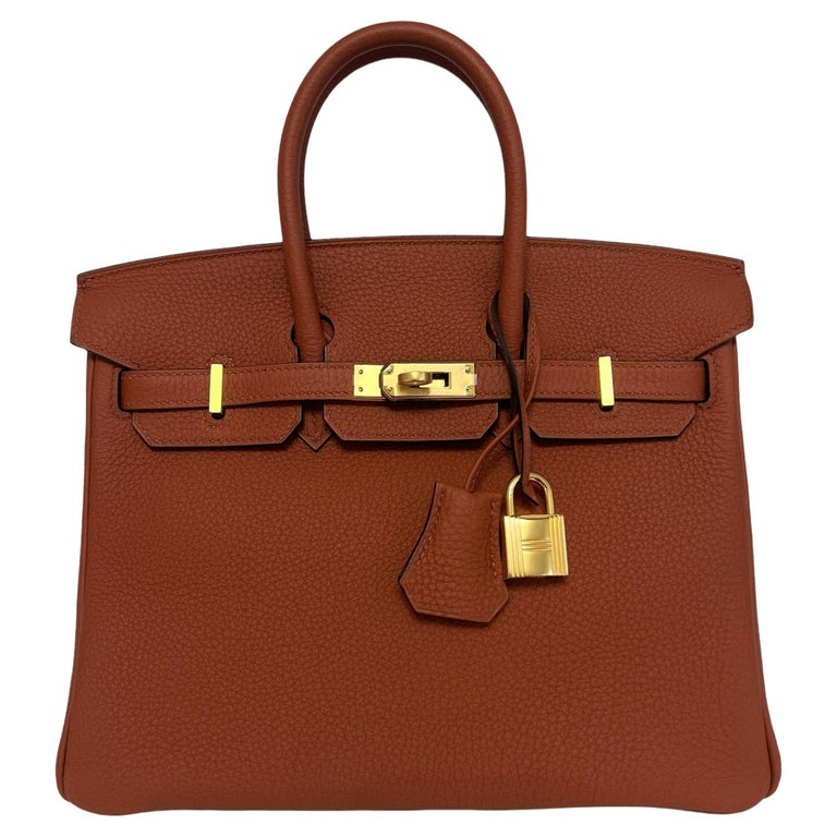Hermes Anemone Togo Gold Hardware Birkin 25 Handbag Bag Tote