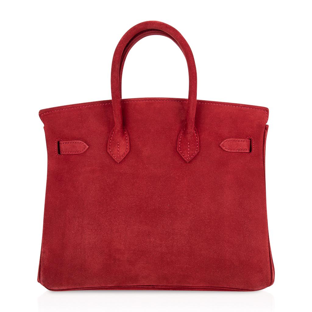 Hermes Birkin 25 Doblis Bag Rouge Vif Suede Gold Hardware at 1stDibs