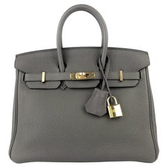 Hermes Birkin 25 Etain Gray Togo Leather Handbag Gold Hardware 2020