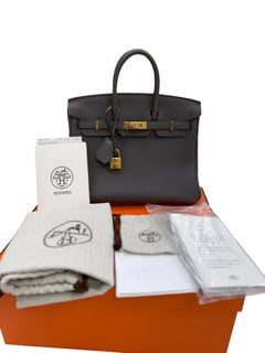 Hermes Birkin 25 Etain Togo Leather With Gold Hardware Handbag